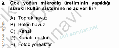 9. soru: Çok yoğun mikroalg üretiminin yapıldığı sürekli kültür sistemine ne ad verilir? A) Toprak havuz B) Beton havuz C) Kan…