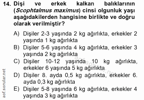 14. soru: Dişi ve erkek kalkan balıklarının (Scophtalmus maximus) cinsi olgunluk yaşı aşağıdakilerden hangisine birlikte ve doğ…