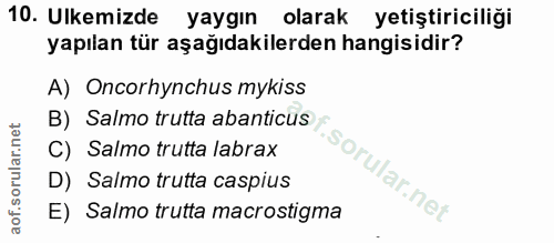 10. soru: Ulkemizde yaygın olarak yetiştiriciliği yapılan tür aşağıdakilerden hangisidir? A) Oncorhynchus mykiss B) Salmo trutt…