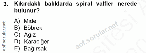 3. soru: Kıkırdaklı balıklarda spiral valfler nerede bulunur? A) Mide B) Böbrek C) Ağız D) Karaciğer E) Bağırsak
