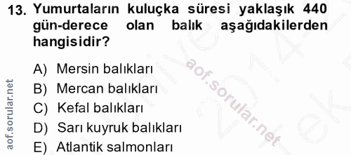 13. soru: Yumurtaların kuluçka süresi yaklaşık 440 gün-derece olan balık aşağıdakilerden hangisidir? A) Mersin balıkları B) Mer…