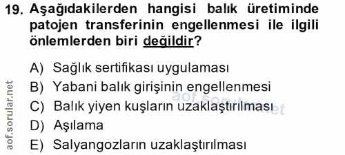 19. soru: Aşağıdakilerden hangisi balık üretiminde patojen transferinin engellenmesi ile ilgili önlemlerden biri değildir? A) S…