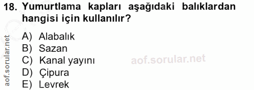 18. soru: Yumurtlama kapları aşağıdaki balıklardan hangisi için kullanılır? A) Alabalık B) Sazan C) Kanal yayını D) Çipura E) L…