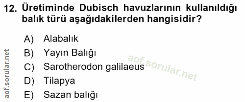 12. soru: Uretiminde Dubisch havuzlarının kullanıldığı balık türü aşağıdakilerden hangisidir? A) Alabalik C) Sarotherodon galil…