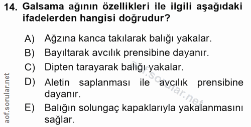 14. soru: Galsama ağının özellikleri ile ilgili aşağıdaki ifadelerden hangisi doğrudur? A) Agzına kanca takılarak balığı yakala…