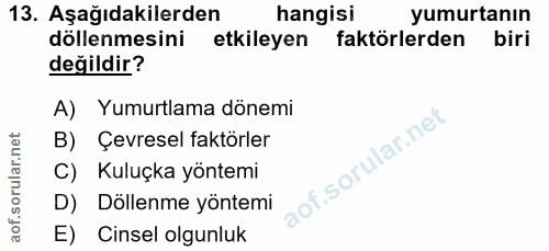 13. soru: Aşağıdakilerden hangisi yumurtanın döllenmesini etkileyen faktörlerden biri değildir? A) Yumurtlama dönemi B) Çevrese…