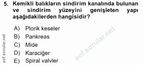 5. soru: Kemikli balıkların sindirim kanalında bulunan ve sindirim yüzeyini genişleten yapı aşağıdakilerden hangisidir? A) Plo…