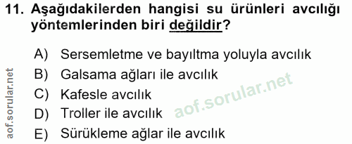 11. soru: Aşağıdakilerden hangisi su ürünleri avcılığı yöntemlerinden biri değildir? A) Sersemletme ve bayıltma yoluyla avcılık…