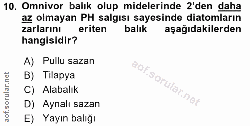 10. soru: Omnivor balık olup midelerinde 2'den daha az olmayan PH salgısı sayesinde diatomların zarlarını eriten balık aşağıdak…