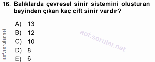 16. soru: Balıklarda çevresel sinir sistemini oluşturan beyinden çıkan kaç çift sinir vardır? A) 13 B) 12 C) 10 D) 8 E) 6