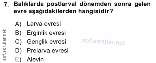7. soru: Balıklarda postlarval dönemden sonra gelen evre aşağıdakilerden hangisidir? A) Larva evresi B) Erginlik evresi C) Gen…