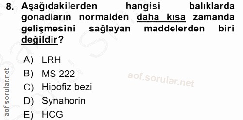 8. soru: Aşağıdakilerden hangisi balıklarda gonadların normalden daha kisa zamanda gelişmesini saglayan maddelerden biri değil…