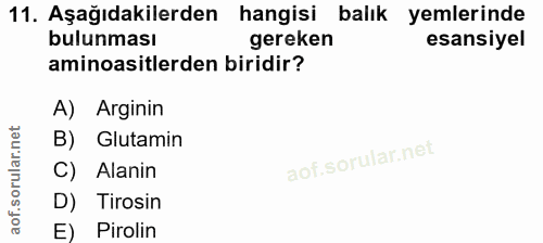 11. soru: Aşağıdakilerden hangisi balık yemlerinde bulunması gereken esansiyel aminoasitlerden biridir? A) Arginin B) Glutamin…