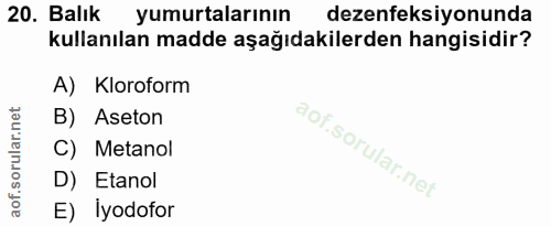 20. soru: Balık yumurtalarının dezenfeksiyonunda kullanılan madde aşağıdakilerden hangisidir? A) Kloroform B) Aseton C) Metanol…