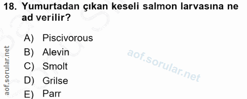 18. soru: Yumurtadan çıkan keseli salmon larvasına ne ad verilir? A) Piscivorous B) Alevin C) Smolt D) Grilse E) Parr