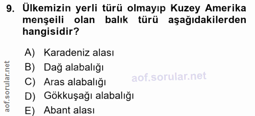 9. soru: Ulkemizin yerli türü olmayıp Kuzey Amerika menşeili olan balık türü aşağıdakilerden hangisidir? A) Karadeniz alası B)…