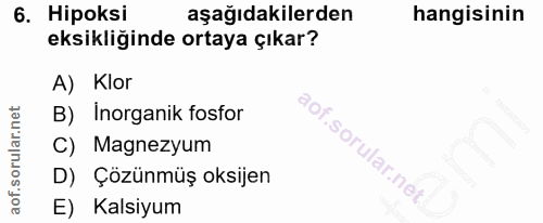 6. soru: Hipoksi aşağıdakilerden hangisinin eksikliğinde ortaya çıkar? A) Klor B) Inorganik fosfor C) Magnezyum D) Çözünmüş ok…