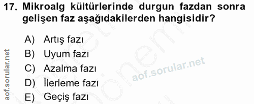 17. soru: Mikroalg kültürlerinde durgun fazdan sonra gelişen faz aşağıdakilerden hangisidir? A) Artış fazı B) Uyum fazı C) Azal…