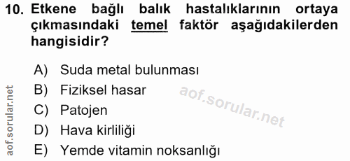10. soru: Etkene bağlı balık hastalıklarının ortaya çıkmasındaki temel faktör aşağıdakilerden hangisidir? A) Suda metal bulunma…