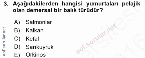 3. soru: Aşağıdakilerden hangisi yumurtaları pelajik olan demersal bir balık türüdür? A) Salmonlar Kalkan C) Kefal D) Sarıkuyr…