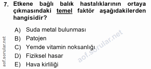 7. soru: Etkene bağlı balık hastalıklarının ortaya çıkmasındaki temel faktör aşağıdakilerden hangisidir? A) Suda metal bulunma…