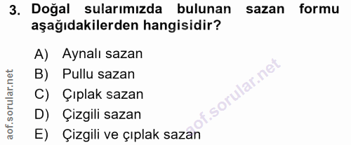 3. soru: Doğal sularımızda bulunan sazan formu aşağıdakilerden hangisidir? A) Aynalı sazan B) Pullu sazan f. C) Çıplak sazan D…