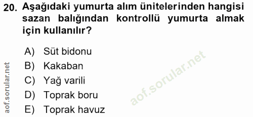20. soru: Aşağıdaki yumurta alım ünitelerinden hangisi sazan balığından kontrollü yumurta almak için kullanılır? A) Süt bidonu…
