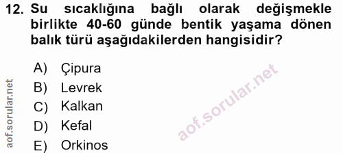12. soru: Su sıcaklığına bağlı olarak değişmekle birlikte 40-60 günde bentik yaşama dönen balık türü aşağıdakilerden hangisidir…
