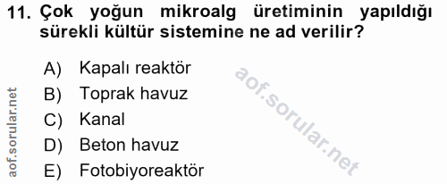 11. soru: Çok yoğun mikroalg üretiminin yapıldığı sürekli kültür sistemine ne ad verilir? A) Kapalı reaktör B) Toprak havuz C)…