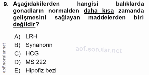 9. soru: Aşağıdakilerden hangisi balıklarda gonadların normalden daha kısa zamanda gelişmesini sağlayan maddelerden biri değil…