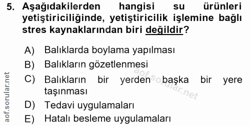 5. soru: Aşağıdakilerden hangisi su ürünleri yetiştiriciliğinde, yetiştiricilik işlemine bağlı stres kaynaklarından biri değil…