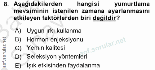 8. soru: Aşağıdakilerden hangisi yumurtlama mevsiminin istenilen zamana ayarlanmasını etkileyen faktörlerden biri değildir? A)…