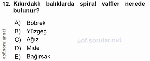 12. soru: Kıkırdaklı balıklarda spiral valfler nerede bulunur? A) Böbrek B) Yüzgeç C) Ağız D) Mide aof. E) Bağırsak