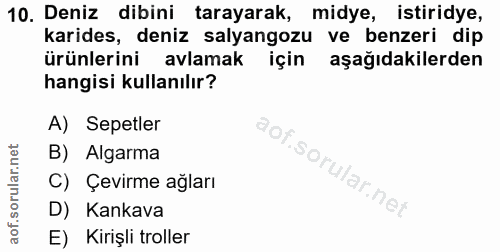 10. soru: Deniz dibini tarayarak, midye, istiridye, karides, deniz salyangozu ve benzeri dip ürünlerini avlamak için aşağıdakil…