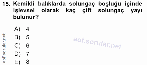 15. soru: Kemikli balıklarda solungaç boşluğu içinde işlevsel olarak kaç çift solungaç yayı bulunur? A) 4 B) 5 C) 6 D) 7 E) 8