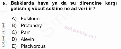 8. soru: Balıklarda hava ya da su direncine karşı gelişmiş vücut şekline ne ad verilir? A) Fusiform B) Protandry C) Parr D) Al…