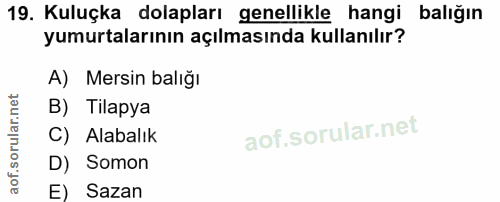 19. soru: Kuluçka dolapları genellikle hangi balığın yumurtalarının açılmasında kullanılır? A) Mersin balığı B) Tilapya C) Alab…