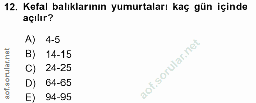 12. soru: Kefal balıklarının yumurtaları kaç gün içinde açılır? A) 4-5 B) 14-15 C) 24-25 D) 64-65 E) 94-95