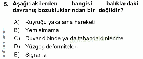 5. soru: Aşağıdakilerden hangisi balıklardaki davranış bozukluklarından biri değildir? A) Kuyruğu yakalama hareketi B) Yem alm…