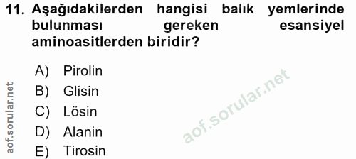 11. soru: Aşağıdakilerden hangisi balık yemlerinde bulunması gereken esansiyel aminoasitlerden biridir? A) Pirolin B) Glisin C)…