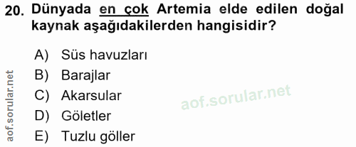20. soru: Dünyada en cok Artemia elde edilen doğal kaynak aşağıdakilerden hangisidir? A) Süs havuzları B) Barajlar C) Akarsular…