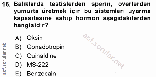16. soru: Balıklarda testislerden sperm, overlerden yumurta üretmek için bu sistemleri uyarma kapasitesine sahip hormon aşağıda…
