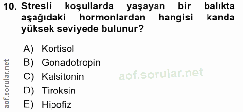 10. soru: Stresli koşullarda yaşayan bir balıkta aşağıdaki hormonlardan hangisi kanda yüksek seviyede bulunur? A) Kortisol B) G…