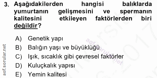3. soru: Aşağıdakilerden hangisi balıklarda yumurtanın gelişmesini ve spermanın kalitesini etkileyen faktörlerden biri değildi…