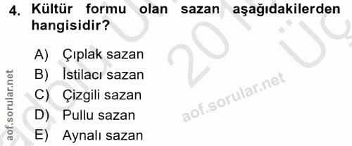 4. soru: Kültür formu olan sazan aşağıdakilerden hangisidir? A) Çıplak sazan B) Istilacı sazan C) Çizgili sazan D) Pullu sazan…