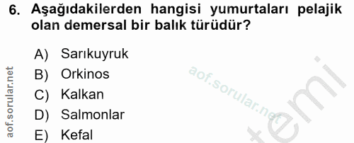 6. soru: Aşağıdakilerden hangisi yumurtaları pelajik olan demersal bir balık türüdür? A) Sarıkuyruk B) Orkinos C) Kalkan D) Sa…