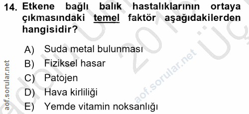 14. soru: Etkene bağlı balık hastalıklarının ortaya çıkmasındaki temel faktör aşağıdakilerden hangisidir? A) Suda metal bulunma…