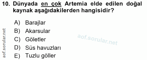 10. soru: Dünyada en çok Artemia elde edilen doğal kaynak aşağıdakilerden hangisidir? A) Barajlar B) Akarsular C) Göletler D) S…