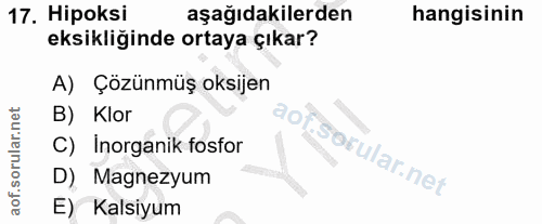 17. soru: Hipoksi aşağıdakilerden hangisinin eksikliğinde ortaya çıkar? A) Çözünmüş oksijen B) Klor C) Inorganik fosfor D) Magn…