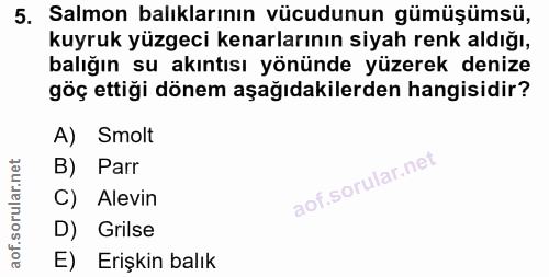 5. soru: Salmon balıklarının vücudunun gümüşümsü, kuyruk yüzgeci kenarlarının siyah renk aldığı, balığın su akıntısı yönünde y…